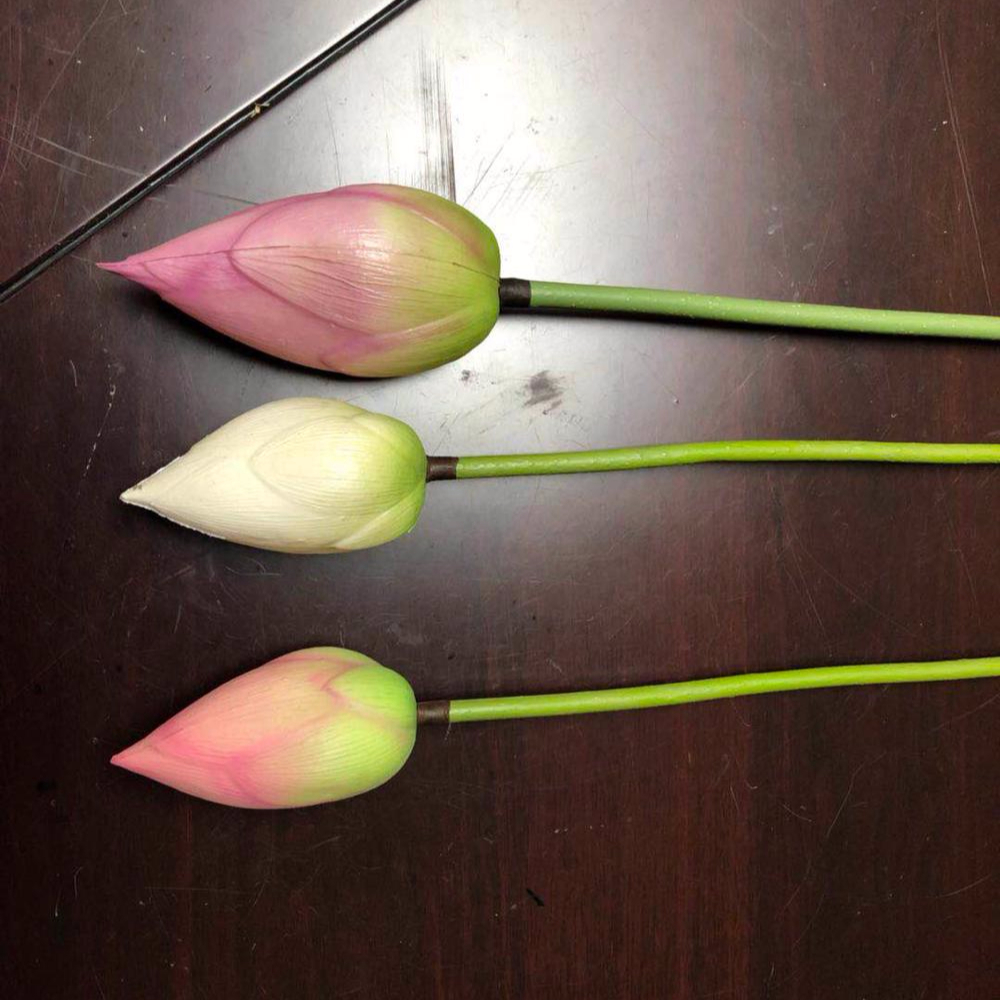 Perawatan Lanjutan Saat Kuncup Bunga (Knop) Mulai Terbentuk