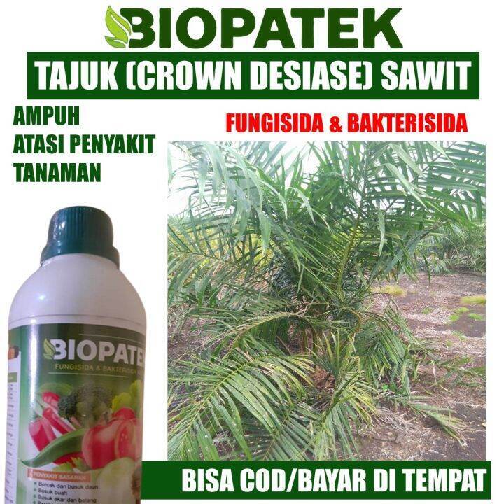 Review Fungisida Dan Bakterisida Terbaik Untuk Anggrek Bulan